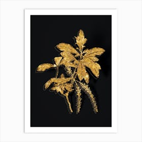 Vintage Swamp Titi Leaves Botanical in Gold on Black n.0164 Art Print