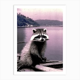 Raccoon On Boat Vintage Photography Art Print