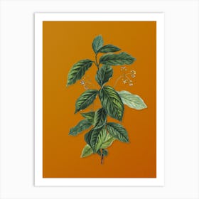 Vintage Broadleaf Spindle Botanical on Sunset Orange Art Print