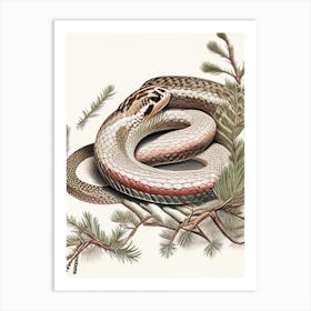 Northern Pine Snake Vintage Art Print