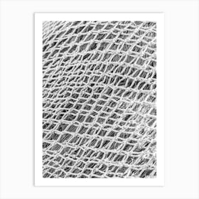 Black And White Image Of A Net Art Print