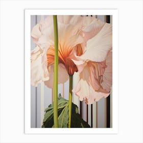 Flower Illustration Amaryllis 4 Art Print