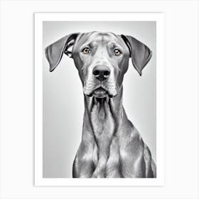 Weimaraner B&W Pencil Dog Art Print