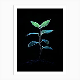 Small Plant Growing On Black Background Art Print