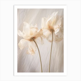 Boho Dried Flowers Tulip 6 Art Print