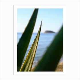 Agave with sea view // Ibiza Nature & Travel Photography Art Print