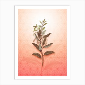 Evergreen Oak Vintage Botanical in Peach Fuzz Asanoha Star Pattern n.0338 Art Print
