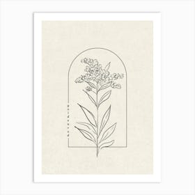 Goldenrod Flower Art Print