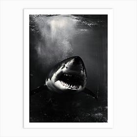 Great White Shark 1 Art Print