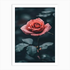 Rose Wallpaper 8 Art Print