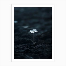 Flower In The Dark 32 Art Print