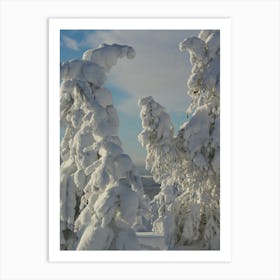 A hidden secret in snow, photo Art Print