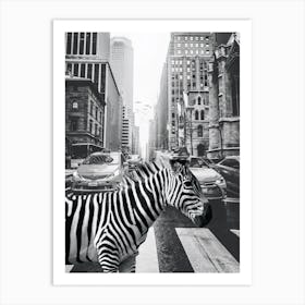 Zebra In New York City Art Print