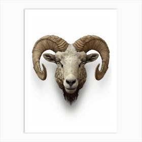 Ram Head 1 Art Print