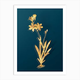 Vintage Ixia Grandiflora Botanical in Gold on Teal Blue n.0234 Art Print