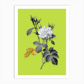 Vintage Autumn Damask Rose Black and White Gold Leaf Floral Art on Chartreuse n.1118 Art Print