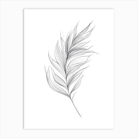 Feather Drawing Art Print