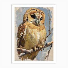 Australian Masked Owl Painting 1 Art Print