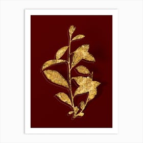 Vintage Grey Willow Botanical in Gold on Red n.0221 Art Print
