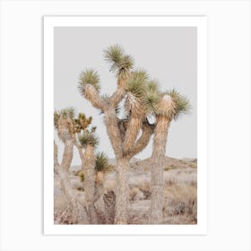 Joshua Tree Scenery Art Print