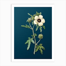 Vintage Venice Mallow Botanical Art on Teal Blue n.0081 Art Print