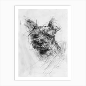 Australian Terrier Dog Charcoal Line 1 Art Print