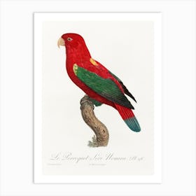 The Chattering Lory From Natural History Of Parrots, Francois Levaillant Art Print