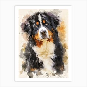 Bernese Mountain Dog Watercolor Painting 2 Art Print