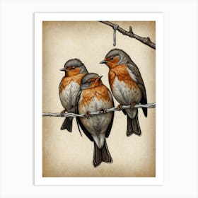 Robins On A Wire 1 Art Print