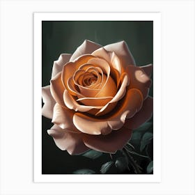 Rose Art 6 Art Print