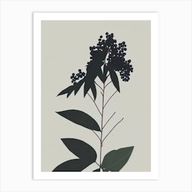 Elderberry Herb Simplicity 2 Art Print