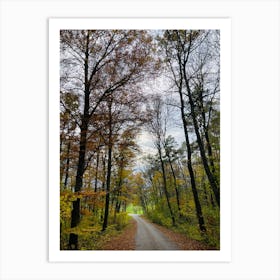 Autumn Road In The Woods 1 Art Print