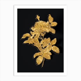 Vintage Red Gallic Rose Botanical in Gold on Black n.0584 Art Print