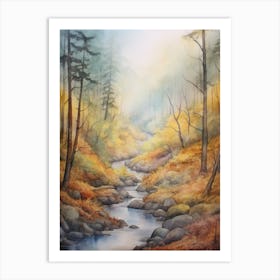 Autumn Forest Landscape Muir Woods National Park Art Print