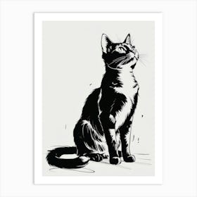 Black And White Cat 1 Art Print