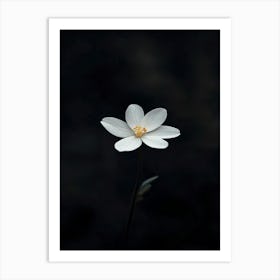 Single White Flower 3 Art Print