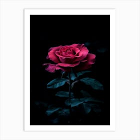 Dark Rose 150 Art Print