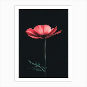 Single Pink Flower On Black Background 2 Art Print