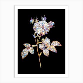 Stained Glass Pink Agatha Rose Mosaic Botanical Illustration on Black n.0172 Art Print