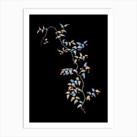 Stained Glass Bridal Creeper Mosaic Botanical Illustration on Black n.0092 Art Print