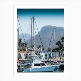 Sailboats In A Marina Art Print