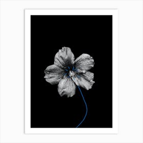 'Blue Flower' 1 Art Print