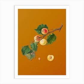 Vintage Peach Botanical on Sunset Orange n.0015 Art Print