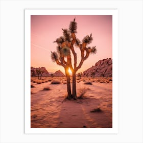  Photograph Of A Joshua Trees At Dawn In Desert 4 Art Print