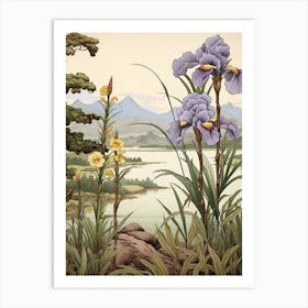 Hanashobu Japanese Water Iris Japanese Botanical Illustration Art Print