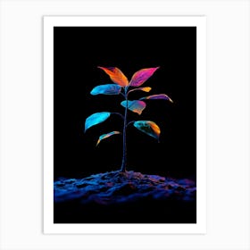 Tree In The Dark 13 Art Print