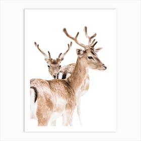 Two deers 1 Art Print