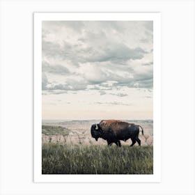 Badlands Bison Art Print