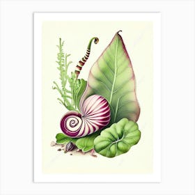 Banded Snail  Botanical Art Print
