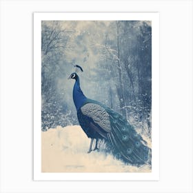 Vintage Peacock Snow Scene Blue 1 Art Print
